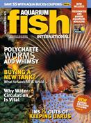Aquarium Fish International